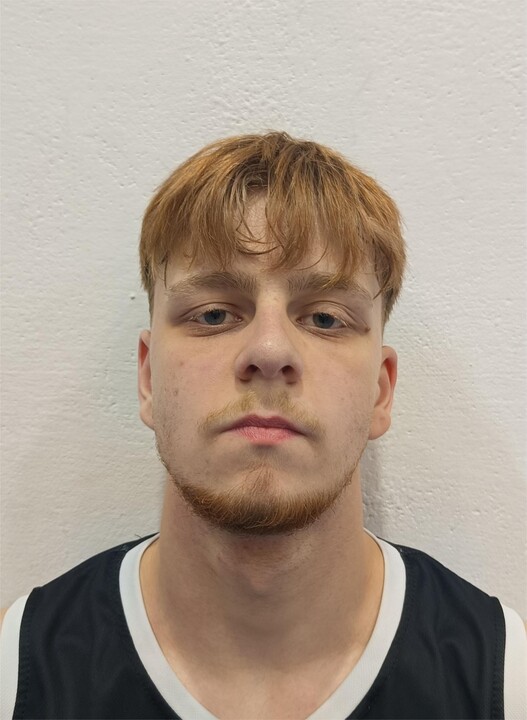 Handzelewicz, Patryk